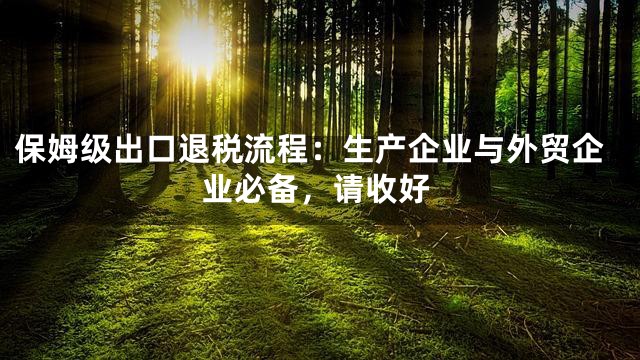 保姆级出口退税流程：生产企业与外贸企业必备，请收好