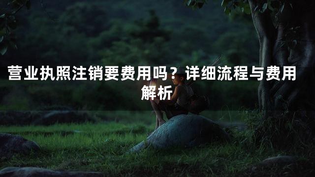 营业执照注销要费用吗？详细流程与费用解析