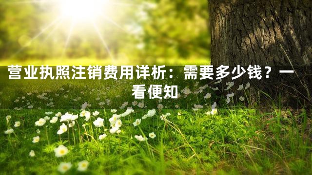 营业执照注销费用详析：需要多少钱？一看便知