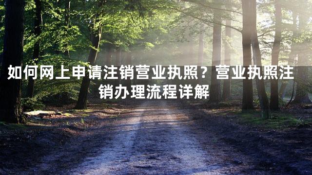 如何网上申请注销营业执照？营业执照注销办理流程详解