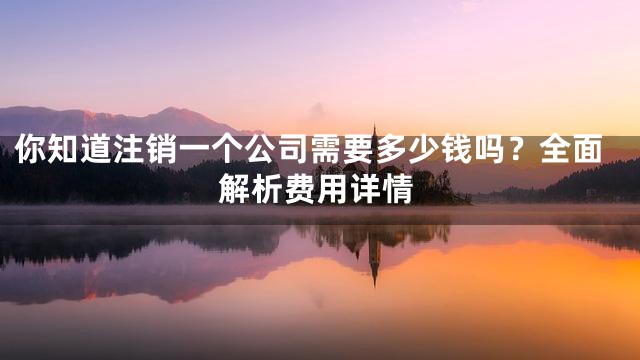 你知道注销一个公司需要多少钱吗？全面解析费用详情