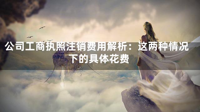 公司工商执照注销费用解析：这两种情况下的具体花费