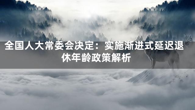 全国人大常委会决定：实施渐进式延迟退休年龄政策解析