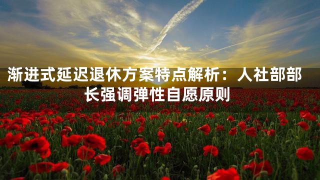 渐进式延迟退休方案特点解析：人社部部长强调弹性自愿原则