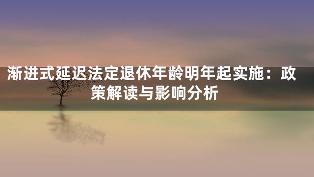 渐进式延迟法定退休年龄明年起实施：政策解读与影响分析