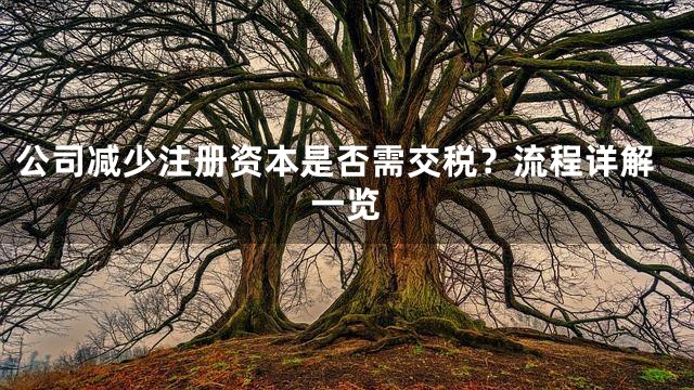公司减少注册资本是否需交税？流程详解一览