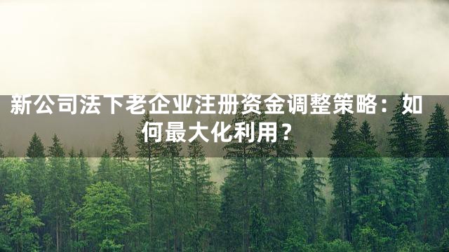 新公司法下老企业注册资金调整策略：如何最大化利用？