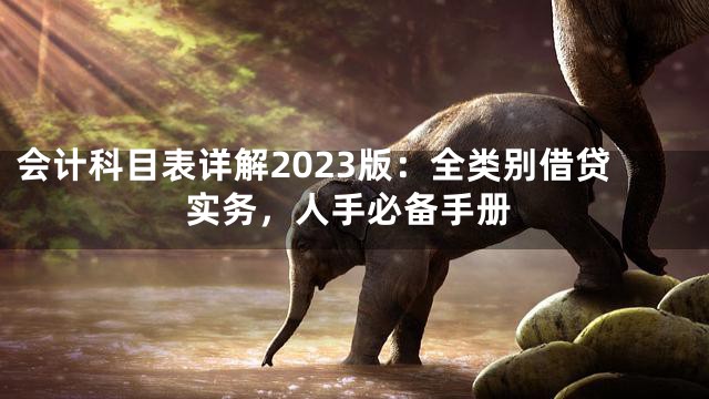 会计科目表详解2023版：全类别借贷实务，人手必备手册