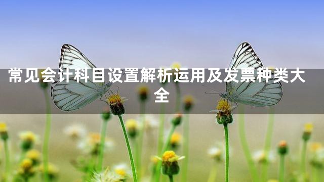 常见会计科目设置解析运用及发票种类大全