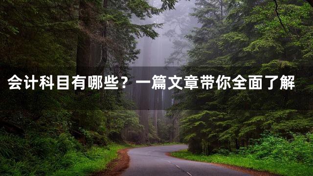 会计科目有哪些？一篇文章带你全面了解