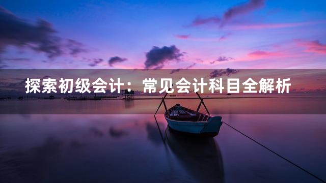探索初级会计：常见会计科目全解析