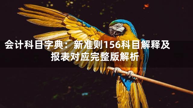 会计科目字典：新准则156科目解释及报表对应完整版解析