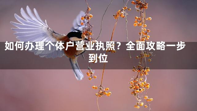 如何办理个体户营业执照？全面攻略一步到位