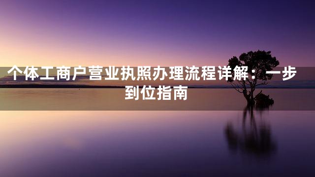 个体工商户营业执照办理流程详解：一步到位指南