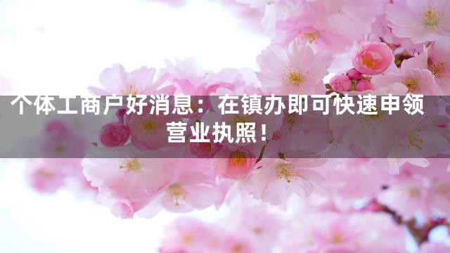 个体工商户好消息：在镇办即可快速申领营业执照！