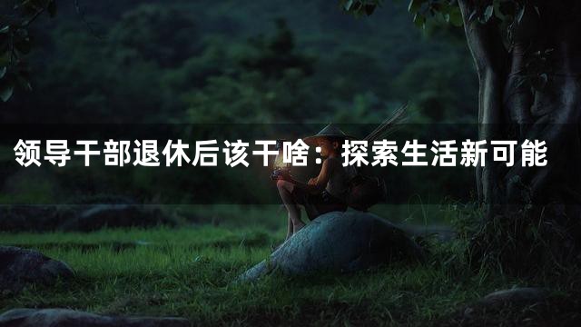 领导干部退休后该干啥：探索生活新可能