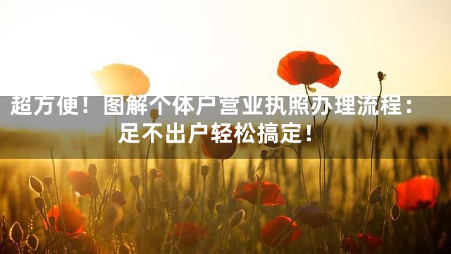 超方便！图解个体户营业执照办理流程：足不出户轻松搞定！