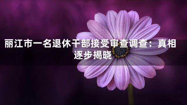 丽江市一名退休干部接受审查调查：真相逐步揭晓