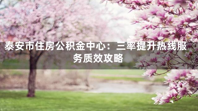 泰安市住房公积金中心：三率提升热线服务质效攻略