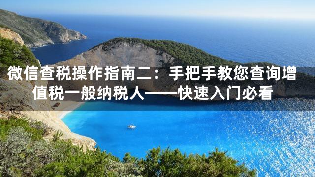 微信查税操作指南二：手把手教您查询增值税一般纳税人——快速入门必看
