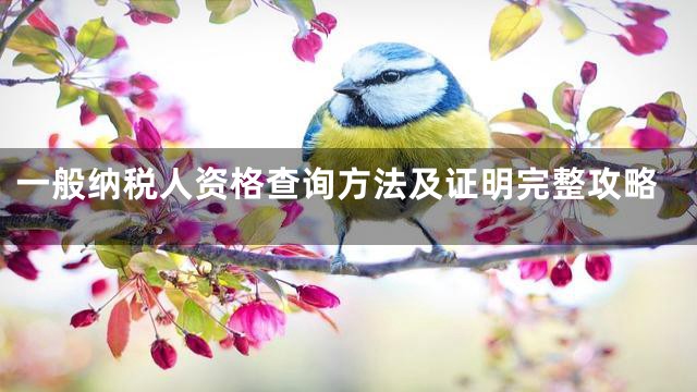一般纳税人资格查询方法及证明完整攻略