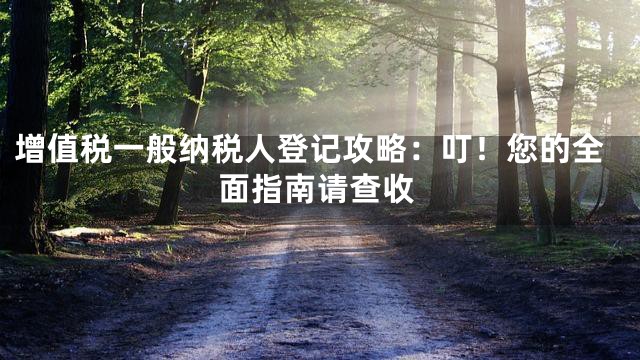 增值税一般纳税人登记攻略：叮！您的全面指南请查收