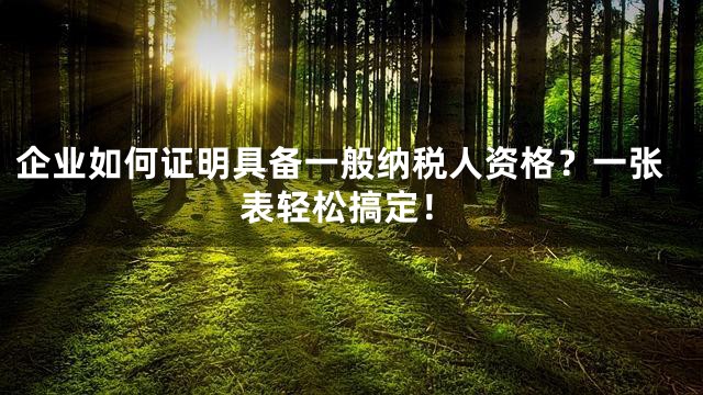 企业如何证明具备一般纳税人资格？一张表轻松搞定！