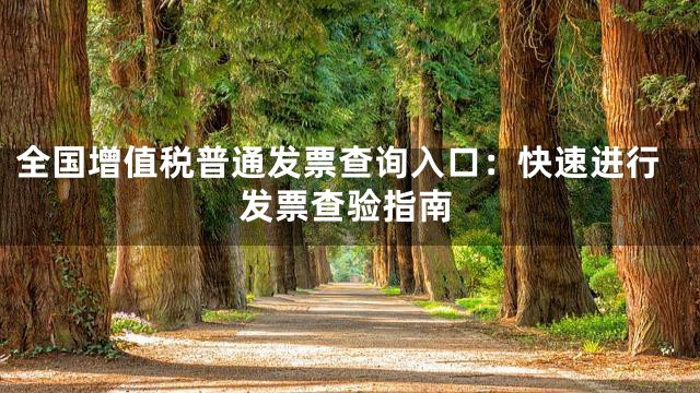 全国增值税普通发票查询入口：快速进行发票查验指南