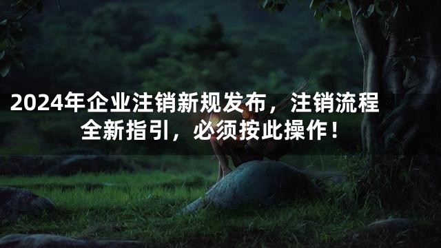 2024年企业注销新规发布，注销流程全新指引，必须按此操作！