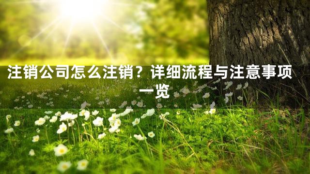 注销公司怎么注销？详细流程与注意事项一览