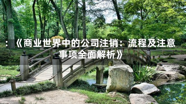 ：《商业世界中的公司注销：流程及注意事项全面解析》