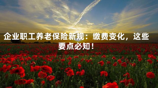 企业职工养老保险新规：缴费变化，这些要点必知！