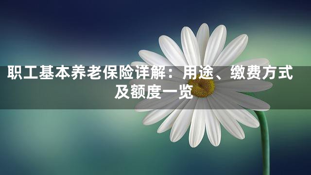 职工基本养老保险详解：用途、缴费方式及额度一览