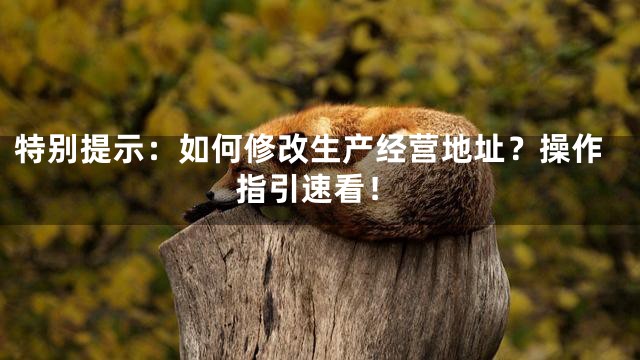 特别提示：如何修改生产经营地址？操作指引速看！
