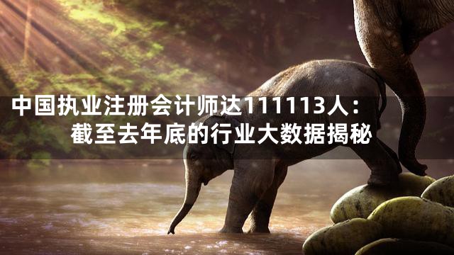 中国执业注册会计师达111113人：截至去年底的行业大数据揭秘