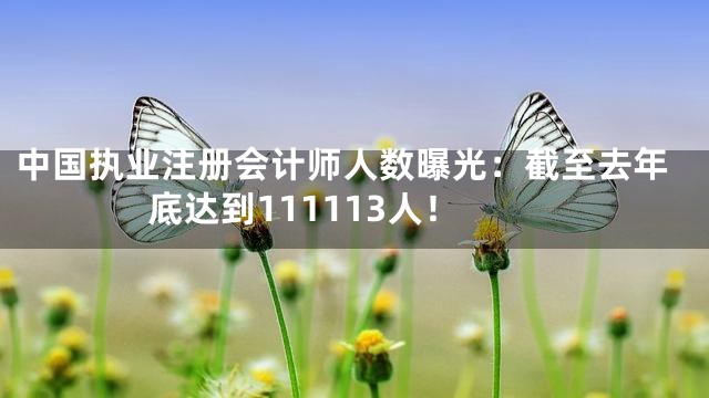 中国执业注册会计师人数曝光：截至去年底达到111113人！