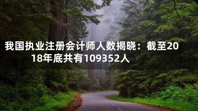 我国执业注册会计师人数揭晓：截至2018年底共有109352人