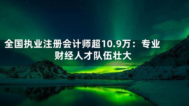 全国执业注册会计师超10.9万：专业财经人才队伍壮大