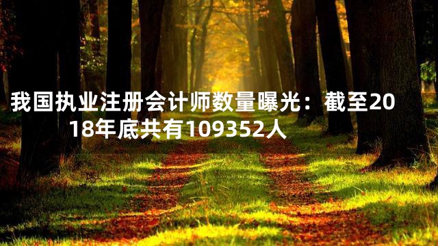 我国执业注册会计师数量曝光：截至2018年底共有109352人