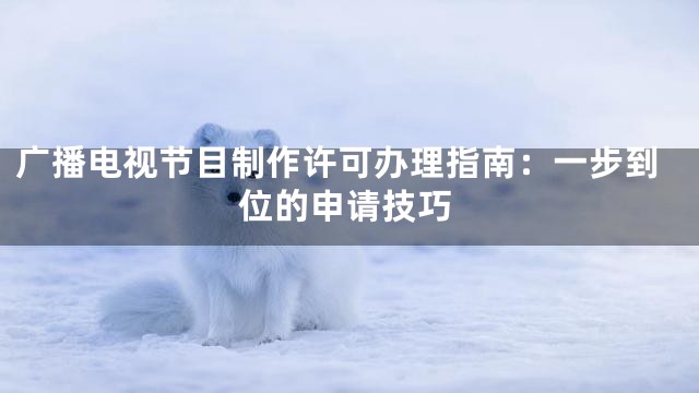广播电视节目制作许可办理指南：一步到位的申请技巧