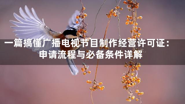 一篇搞懂广播电视节目制作经营许可证：申请流程与必备条件详解