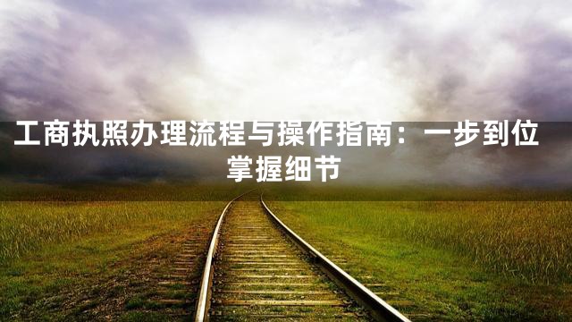 工商执照办理流程与操作指南：一步到位掌握细节