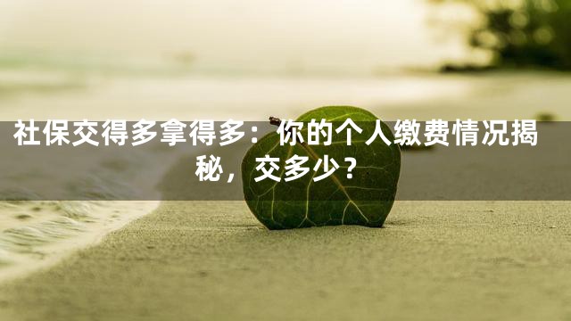 社保交得多拿得多：你的个人缴费情况揭秘，交多少？