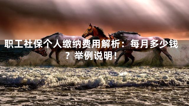 职工社保个人缴纳费用解析：每月多少钱？举例说明！