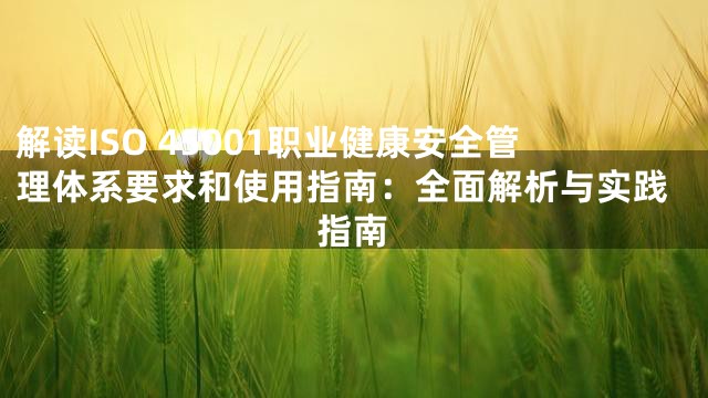 解读ISO 45001职业健康安全管理体系要求和使用指南：全面解析与实践指南