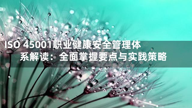 ISO 45001职业健康安全管理体系解读：全面掌握要点与实践策略