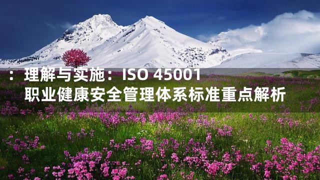 ：

理解与实施：ISO 45001职业健康安全管理体系标准重点解析