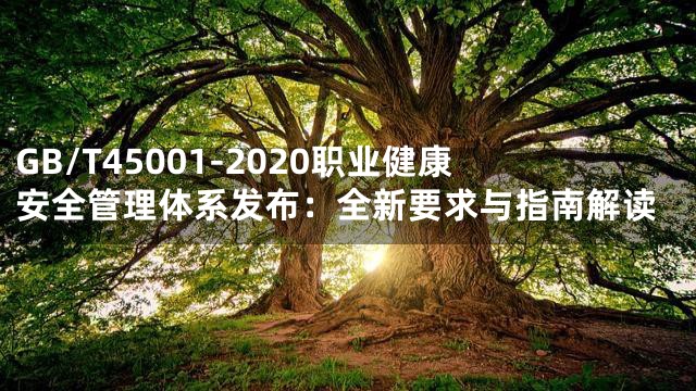 GB/T45001-2020职业健康安全管理体系发布：全新要求与指南解读