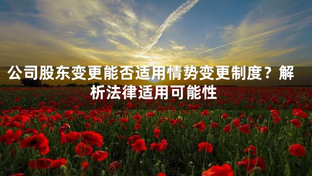 公司股东变更能否适用情势变更制度？解析法律适用可能性