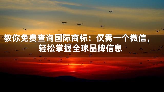 教你免费查询国际商标：仅需一个微信，轻松掌握全球品牌信息